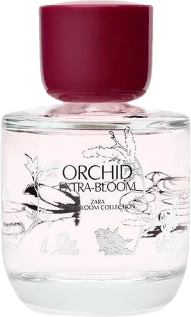Orchid Extra-Bloom