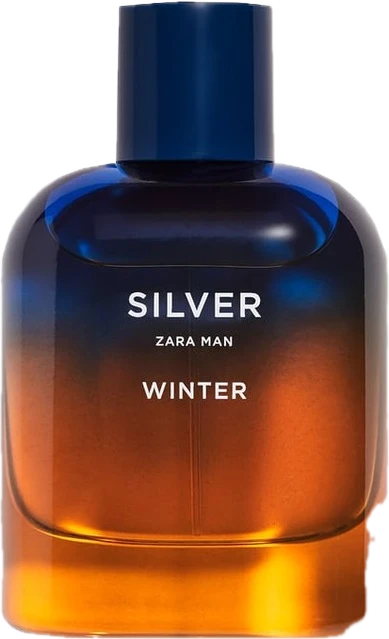 Silver Winter Zara Man