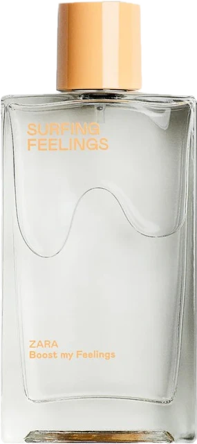 Surfing Feelings