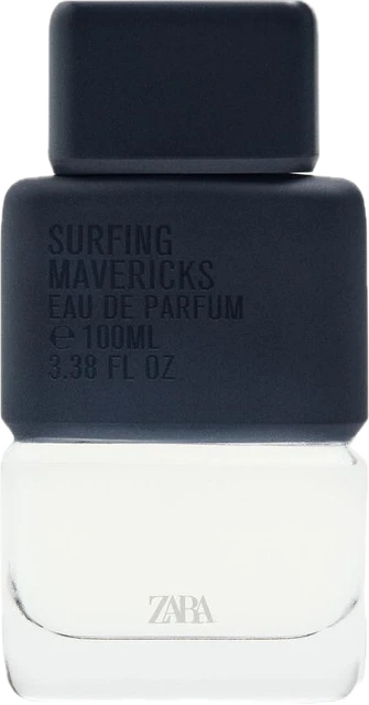 Surfing Mavericks