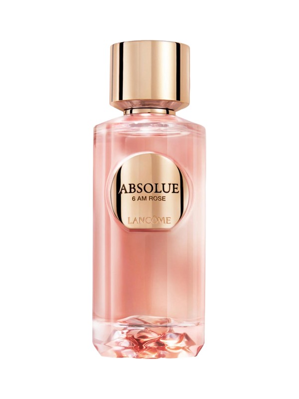 Absolue 6AM Rose