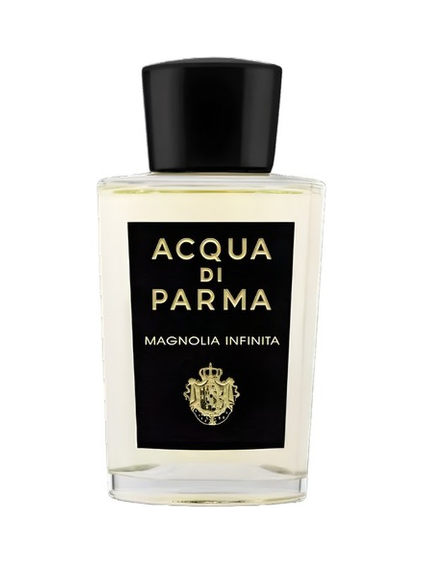 Magnolia Infinita