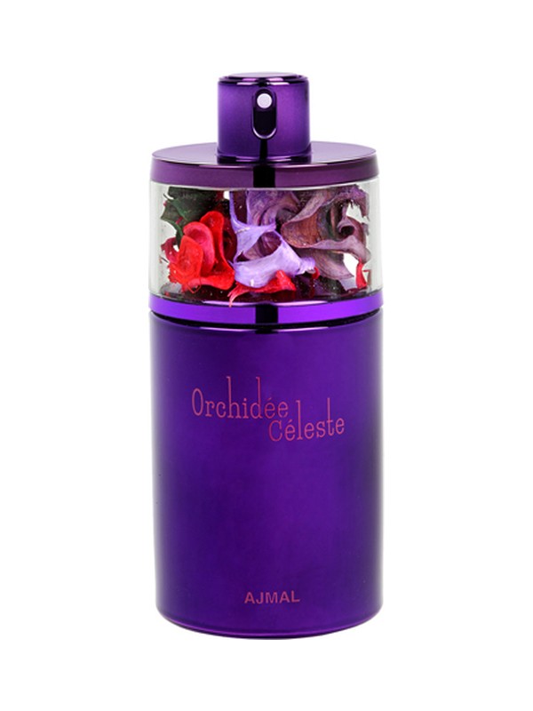 Orchidee Celeste