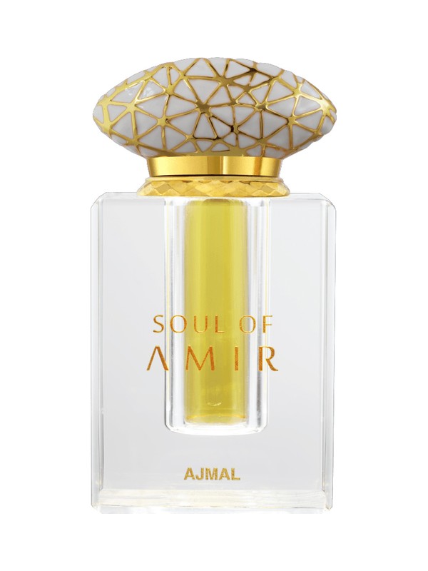 Soul Of Amir