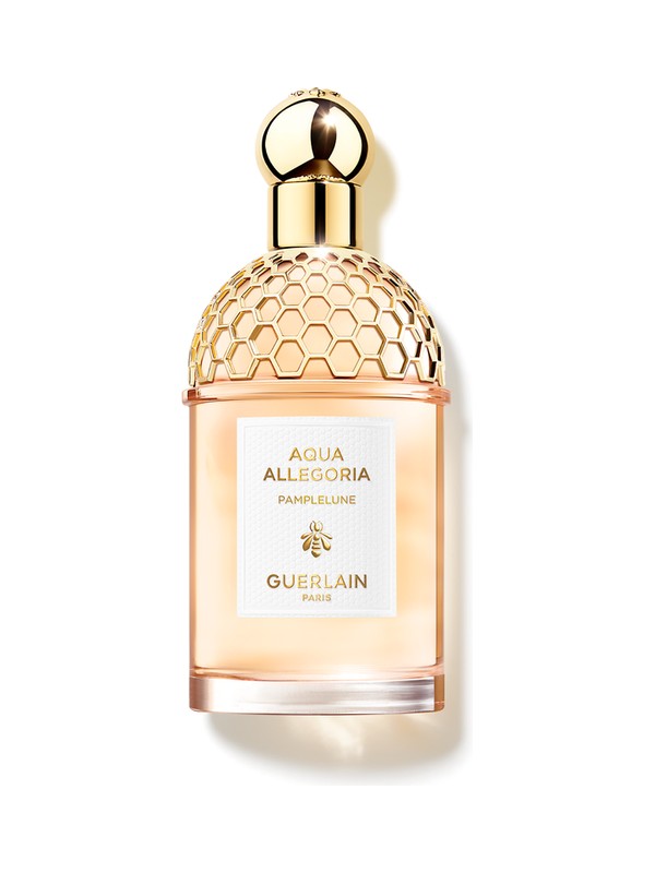 Aqua Allegoria Pamplelune