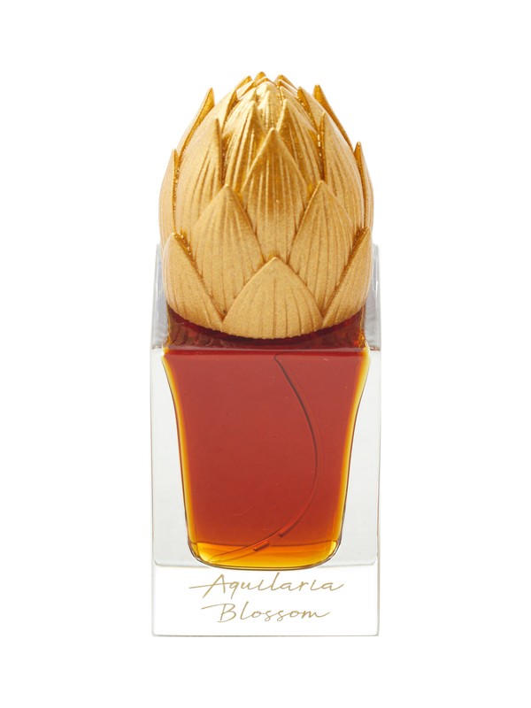 Aquilaria Blossom