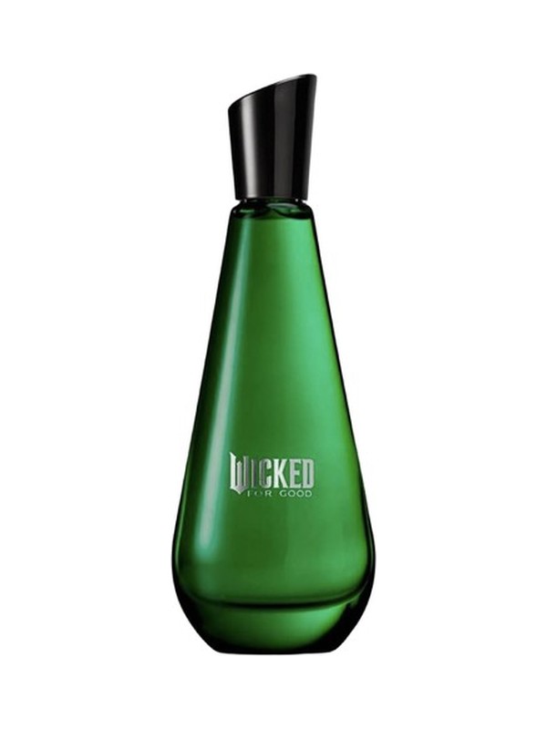 Wicked For Good – Elphaba Enchanted