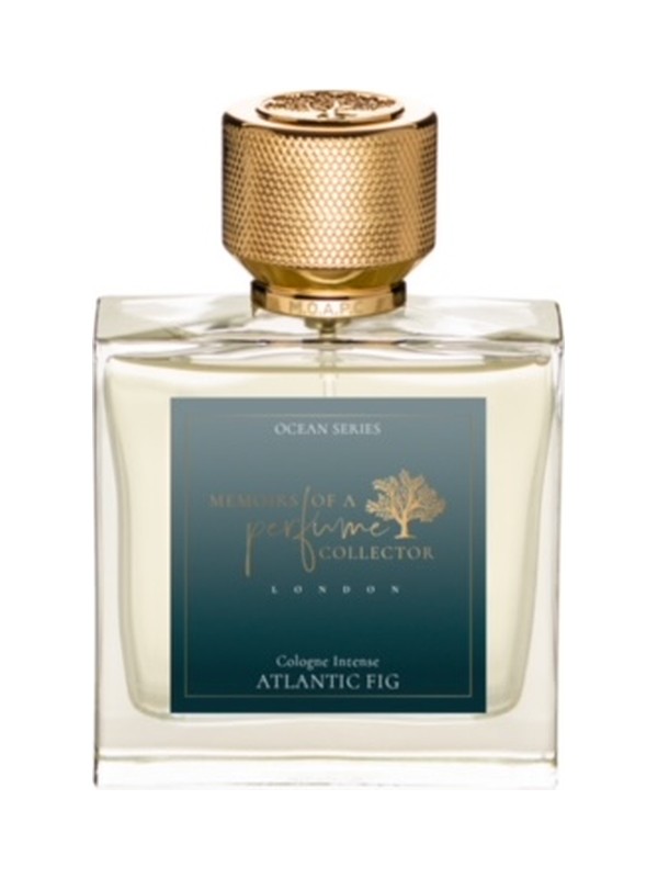 Atlantic Fig