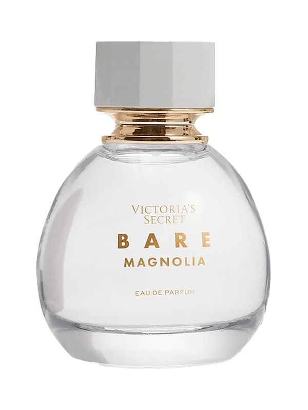 Bare Magnolia