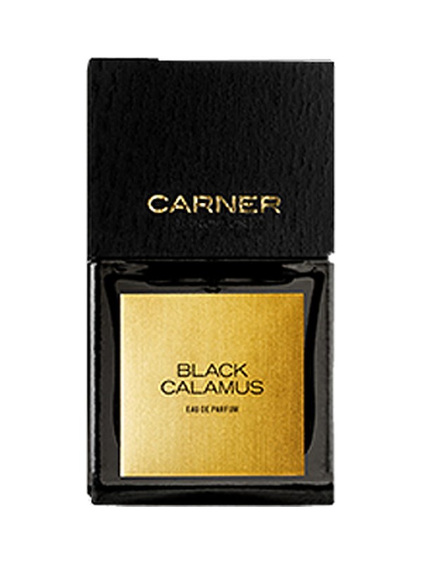 Black Calamus