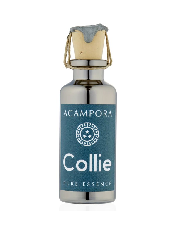 Collie – Pure Essence