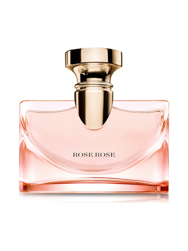 Splendida Rose Rose