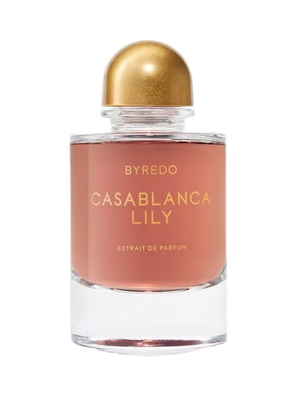 Casablanca Lily 2025