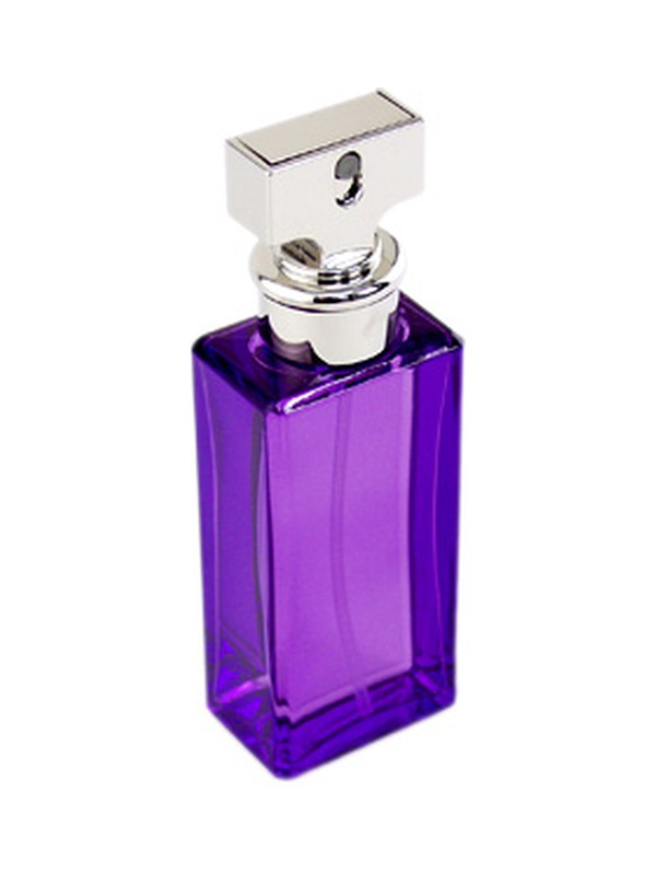 Eternity Purple Orchid
