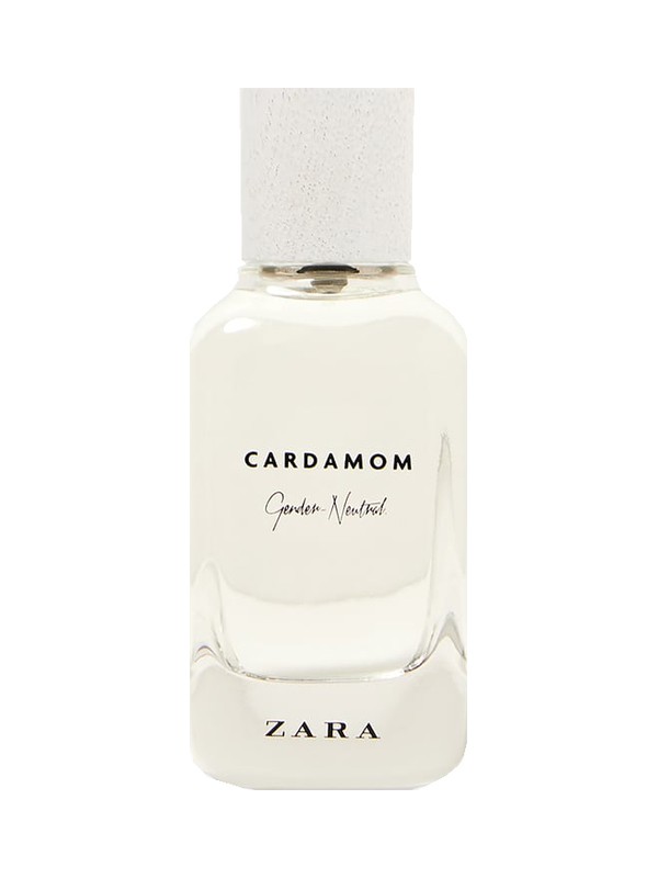 Cardamom - Gender Neutral