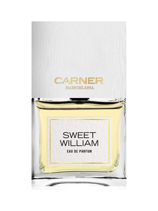 Sweet William