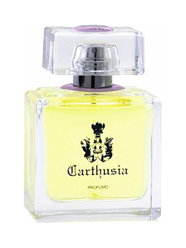 Gelsomini di Capri