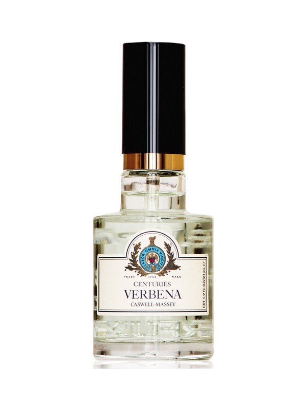 Centuries Verbena
