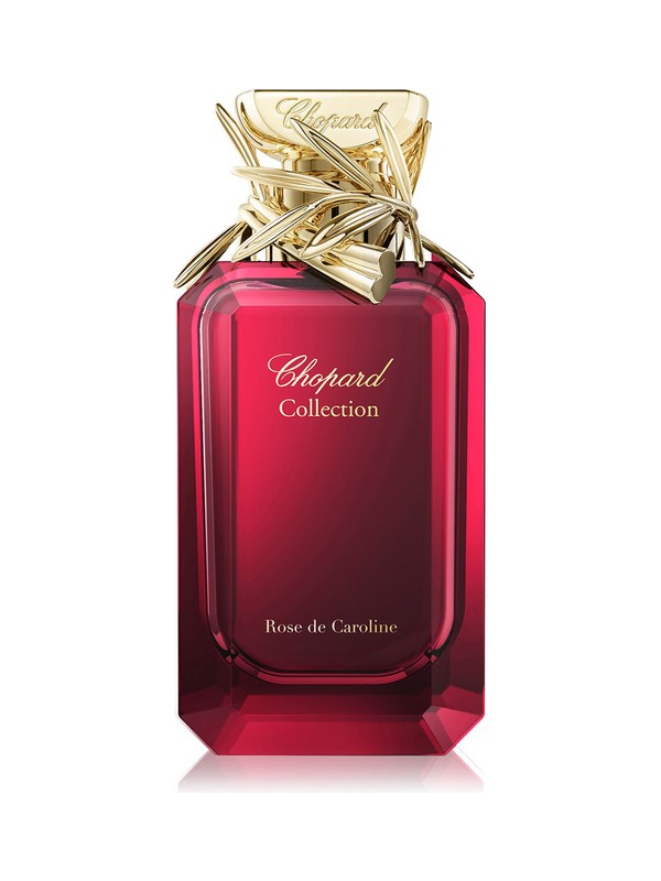Rose de Caroline