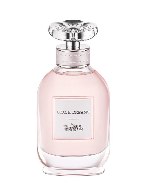 Coach Dreams