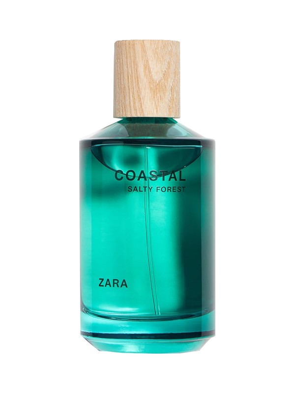 Coastal Salty Forest