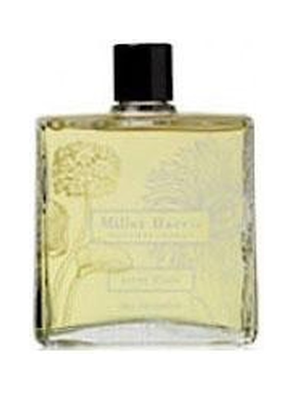 Cologne 1888