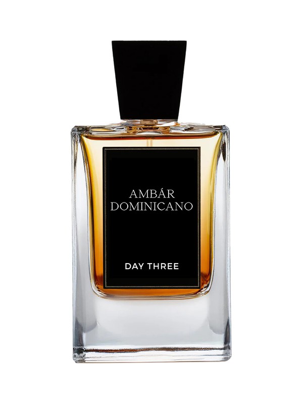 Ámbar Dominicano
