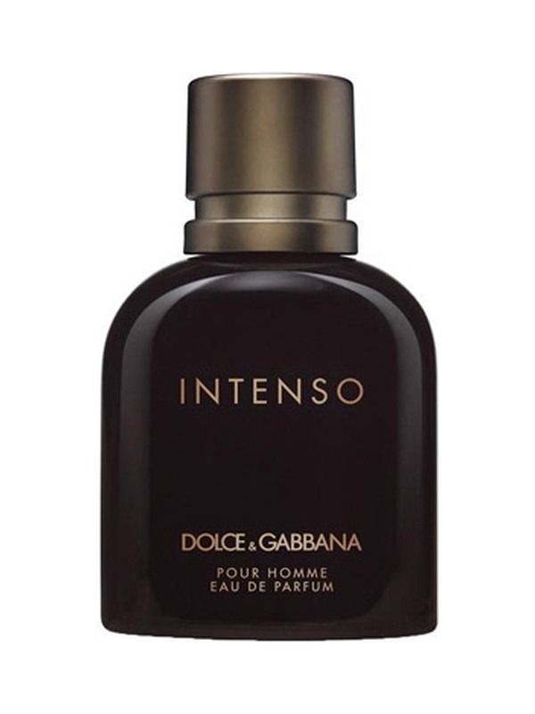 Dolce Gabbana Pour Homme Intenso