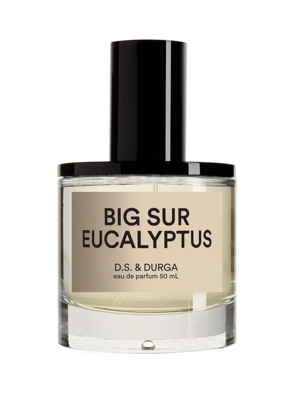 Big Sur Eucalyptus