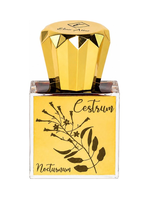 Cestrum Nocturnum