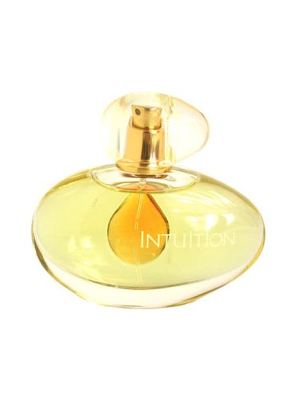 Intuition