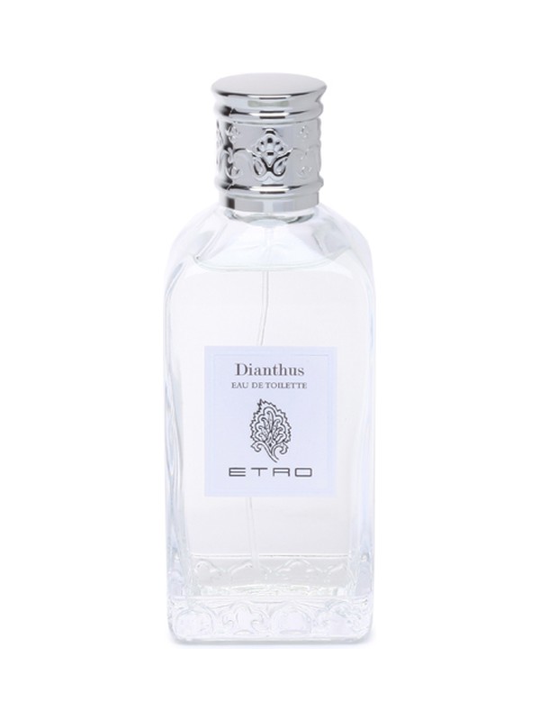 Dianthus