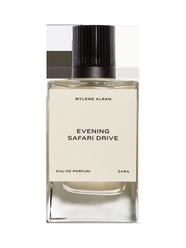 Evening Safari Drive