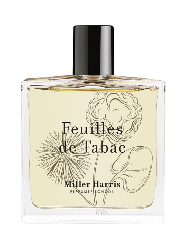 Feuilles de Tabac