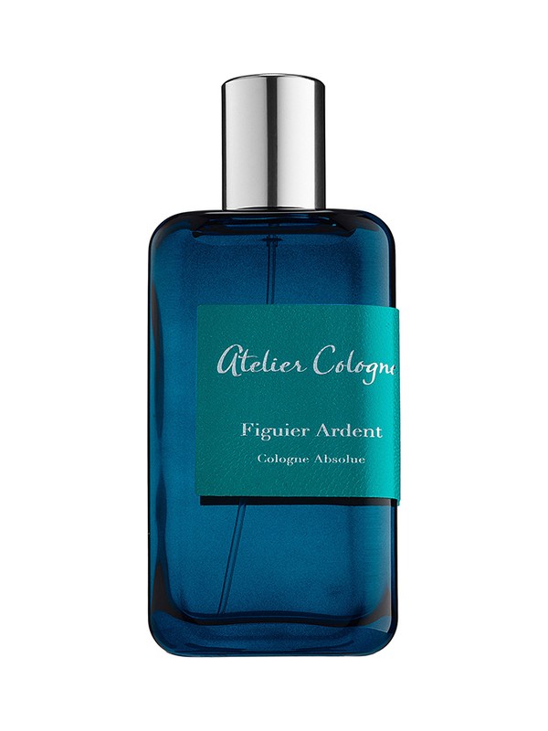 Figuier Ardent