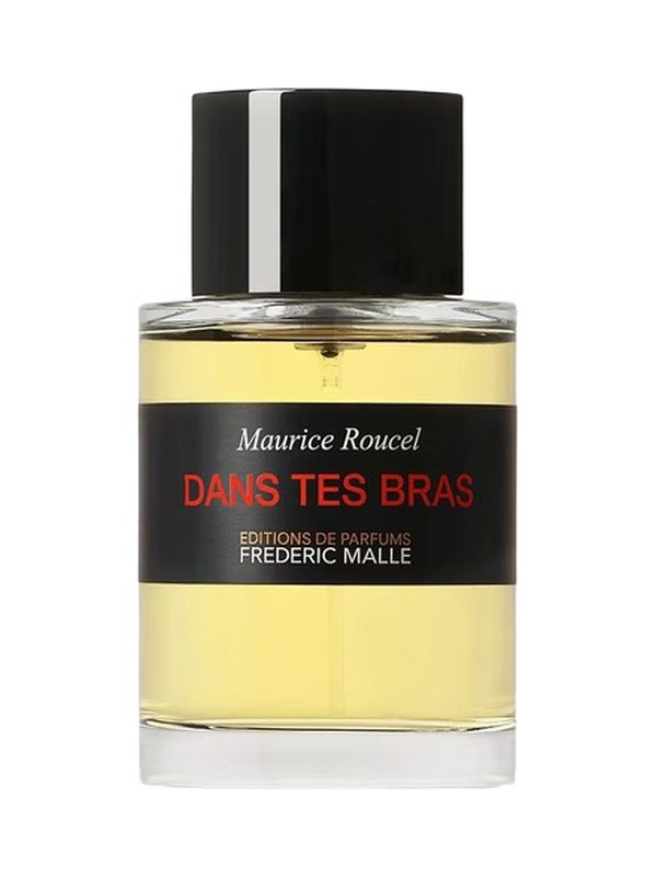 Dans Tes Bras