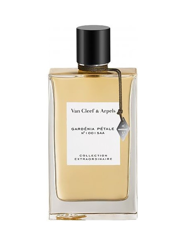 Gardenia Petale