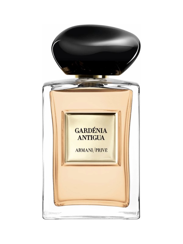 Gardenia Antigua