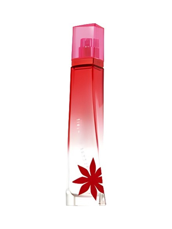 Very Irresistible Givenchy Summer Cocktail for Women 2008