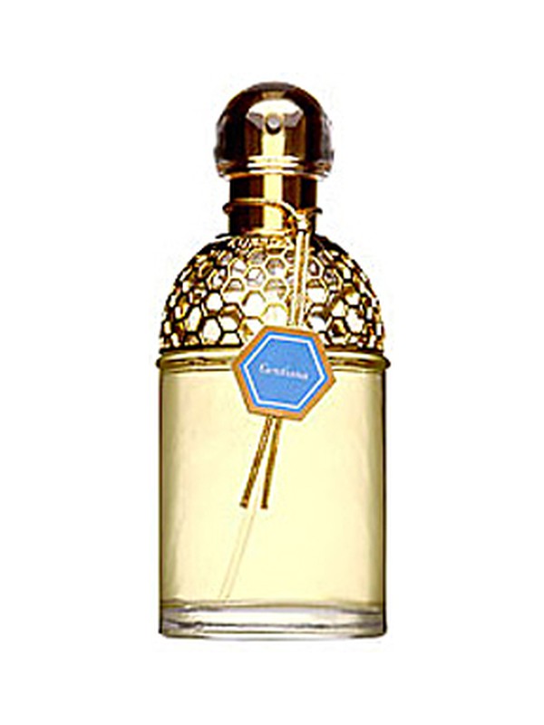 Aqua Allegoria Gentiana
