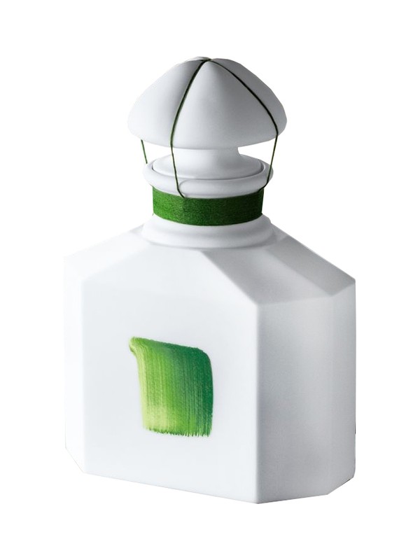 Souvenir d'Orchidée