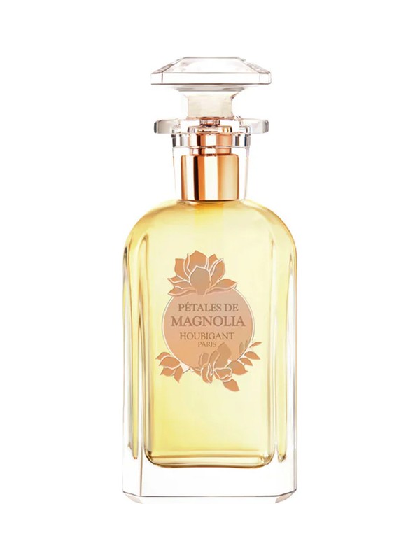 Pétales de Magnolia