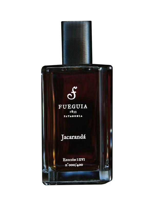 Jacarandá 2016 Edition