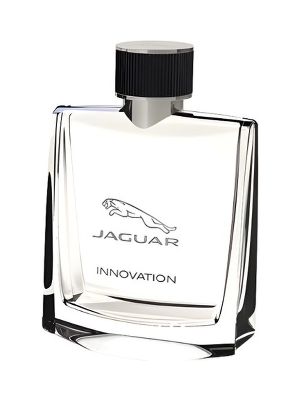 Jaguar Innovation