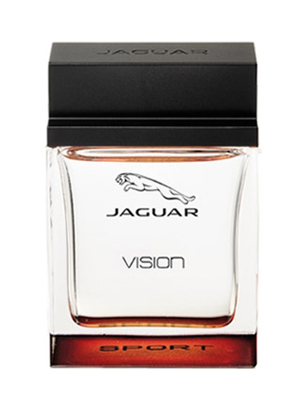 Jaguar Vision Sport