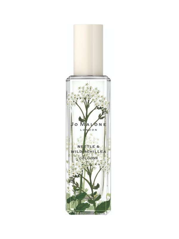 Nettle & Wild Achillea