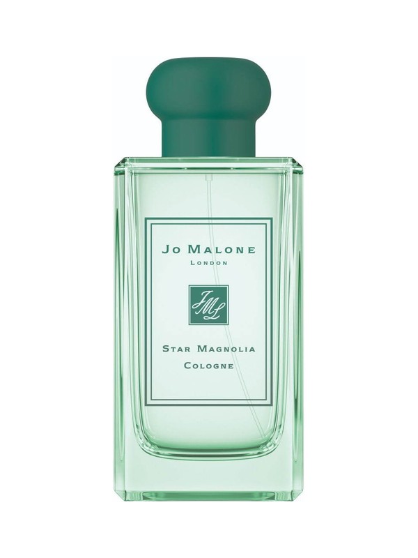 Star Magnolia Cologne (2019)