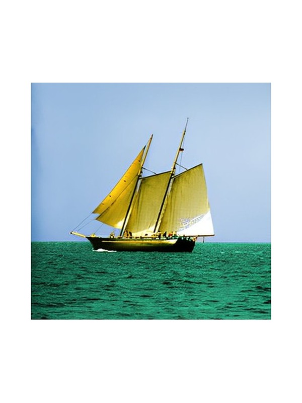 Sea Wood
