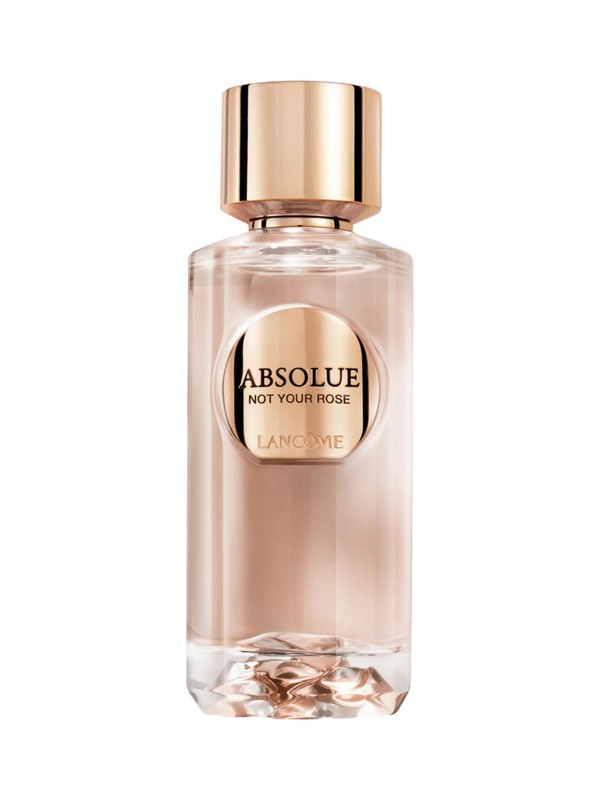 Absolue Not Your Rose