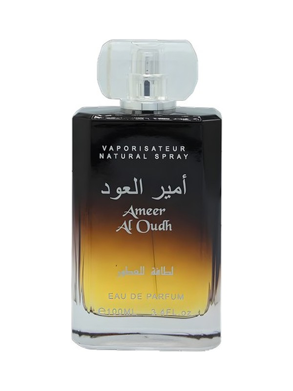 Ameer Al Oudh